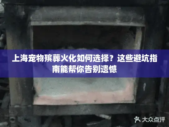上海宠物殡葬火化如何选择？这些避坑指南能帮你告别遗憾