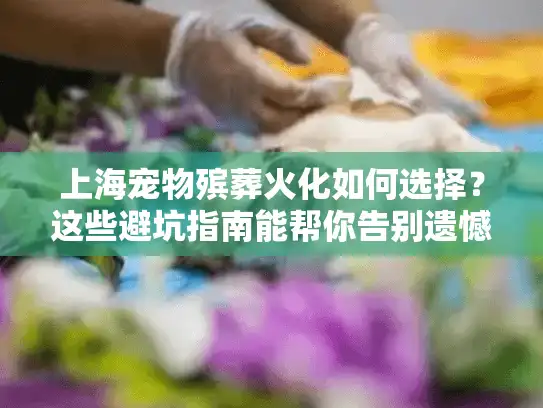 上海宠物殡葬火化如何选择？这些避坑指南能帮你告别遗憾