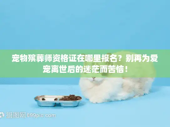宠物殡葬师资格证在哪里报名？别再为爱宠离世后的迷茫而苦恼！
