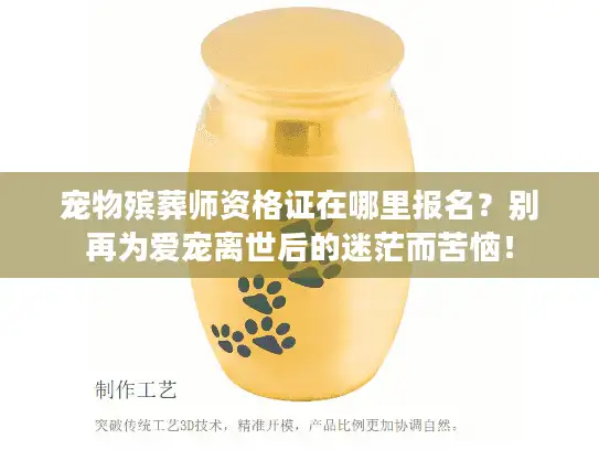 宠物殡葬师资格证在哪里报名？别再为爱宠离世后的迷茫而苦恼！