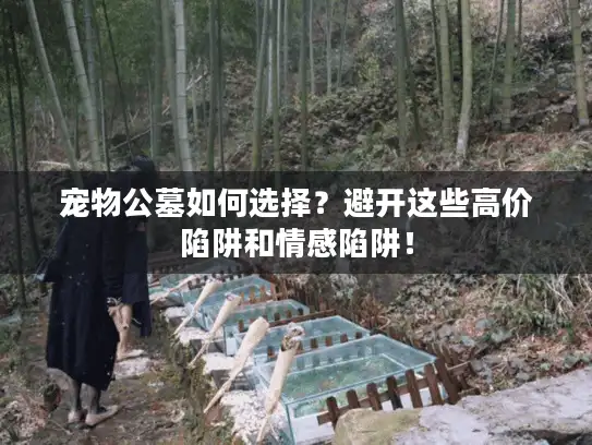 宠物公墓如何选择？避开这些高价陷阱和情感陷阱！