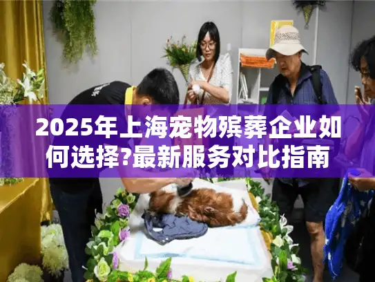 2025年上海宠物殡葬企业如何选择?最新服务对比指南