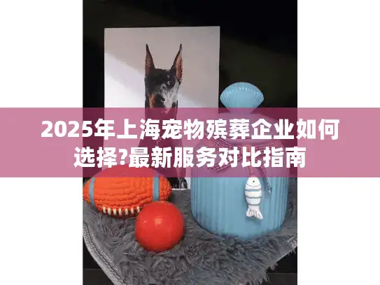 2025年上海宠物殡葬企业如何选择?最新服务对比指南