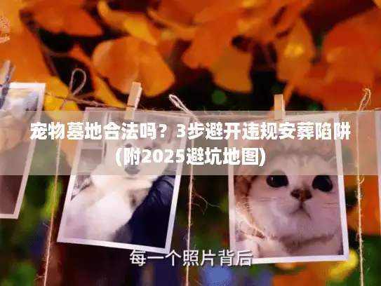 宠物墓地合法吗？3步避开违规安葬陷阱(附2025避坑地图)