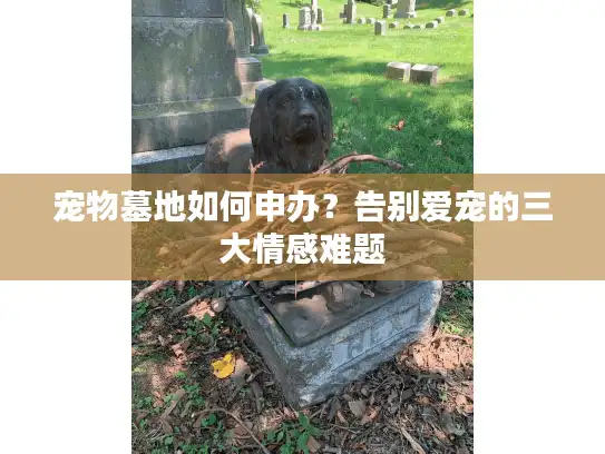 宠物墓地如何申办？告别爱宠的三大情感难题