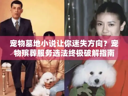 宠物墓地小说让你迷失方向？宠物殡葬服务选法终极破解指南