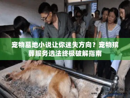 宠物墓地小说让你迷失方向？宠物殡葬服务选法终极破解指南