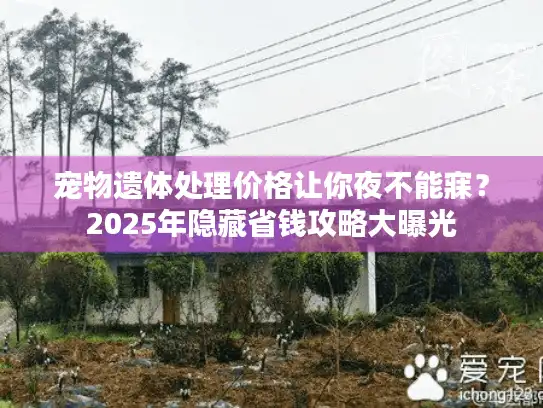 宠物遗体处理价格让你夜不能寐？2025年隐藏省钱攻略大曝光