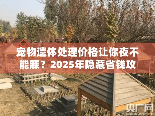 宠物遗体处理价格让你夜不能寐？2025年隐藏省钱攻略大曝光