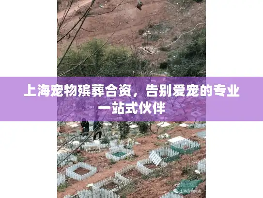上海宠物殡葬合资，告别爱宠的专业一站式伙伴