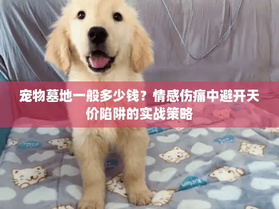 宠物墓地一般多少钱？情感伤痛中避开天价陷阱的实战策略
