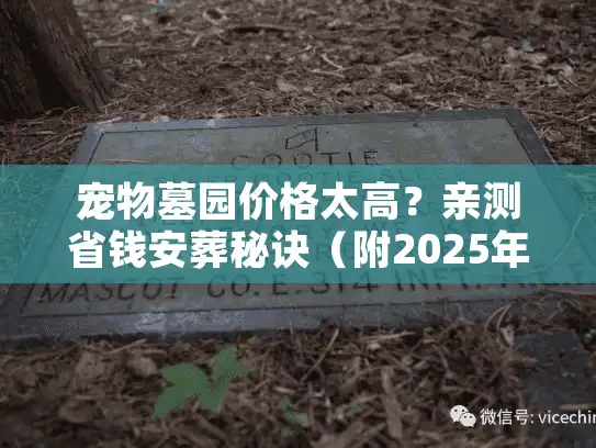 宠物墓园价格太高？亲测省钱安葬秘诀（附2025年最新数据）