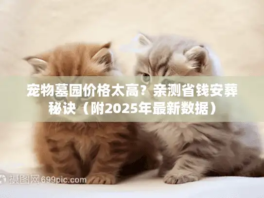 宠物墓园价格太高？亲测省钱安葬秘诀（附2025年最新数据）