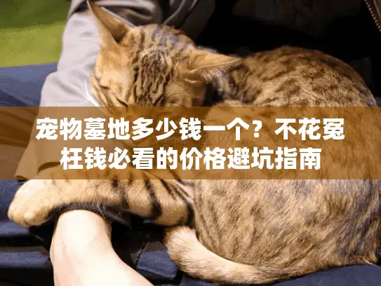 宠物墓地多少钱一个？不花冤枉钱必看的价格避坑指南