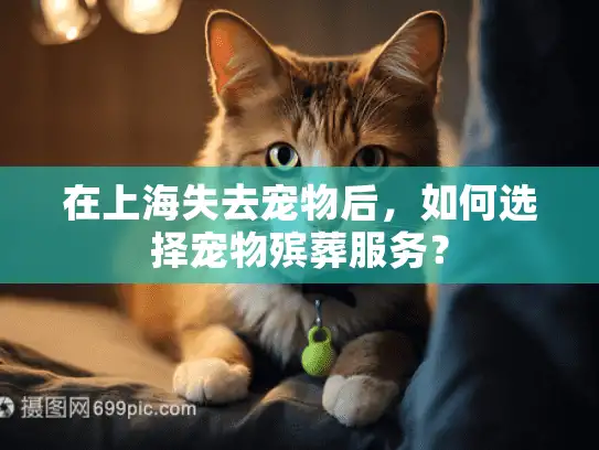 在上海失去宠物后，如何选择宠物殡葬服务？