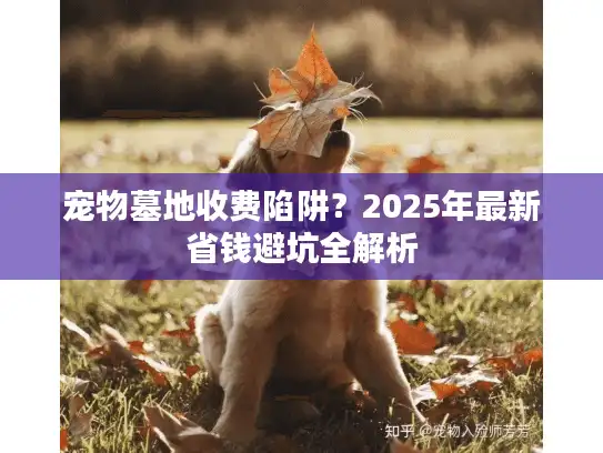 宠物墓地收费陷阱？2025年最新省钱避坑全解析