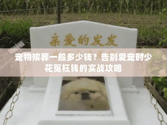 宠物殡葬一般多少钱？告别爱宠时少花冤枉钱的实战攻略