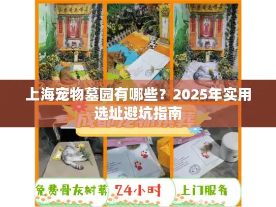 上海宠物墓园有哪些？2025年实用选址避坑指南