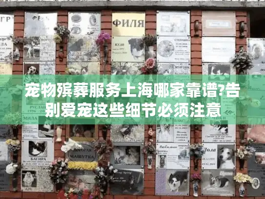 宠物殡葬服务上海哪家靠谱?告别爱宠这些细节必须注意