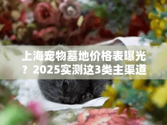 上海宠物墓地价格表曝光？2025实测这3类主渠道定价潜规则