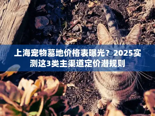 上海宠物墓地价格表曝光？2025实测这3类主渠道定价潜规则