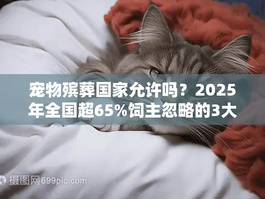 宠物殡葬国家允许吗？2025年全国超65%饲主忽略的3大关键禁区