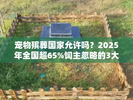 宠物殡葬国家允许吗？2025年全国超65%饲主忽略的3大关键禁区