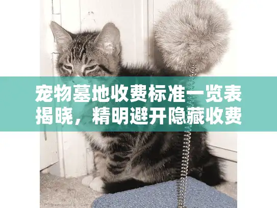 宠物墓地收费标准一览表揭晓，精明避开隐藏收费陷阱？