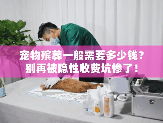 宠物殡葬一般需要多少钱？别再被隐性收费坑惨了！