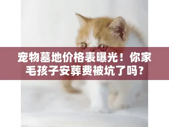 宠物墓地价格表曝光！你家毛孩子安葬费被坑了吗？