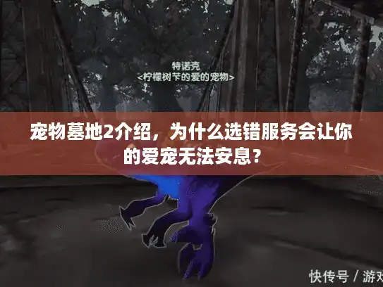 宠物墓地2介绍，为什么选错服务会让你的爱宠无法安息？