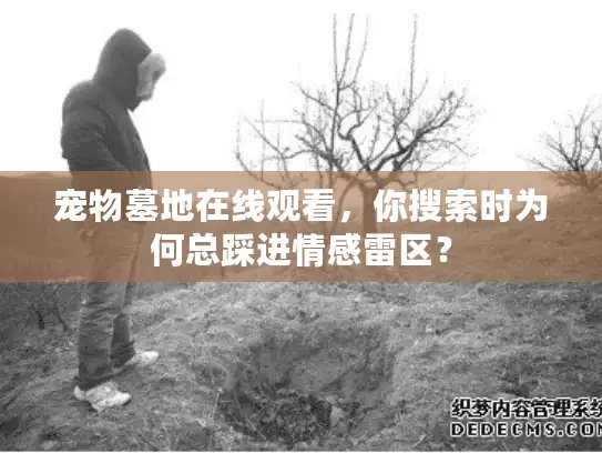 宠物墓地在线观看，你搜索时为何总踩进情感雷区？