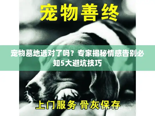宠物墓地选对了吗？专家揭秘情感告别必知5大避坑技巧