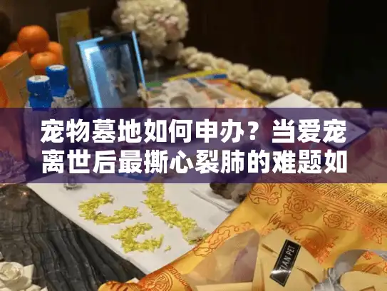 宠物墓地如何申办？当爱宠离世后最撕心裂肺的难题如何破局