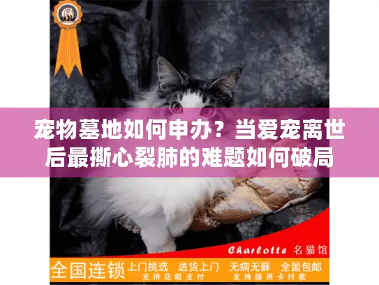 宠物墓地如何申办？当爱宠离世后最撕心裂肺的难题如何破局