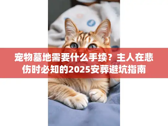 宠物墓地需要什么手续？主人在悲伤时必知的2025安葬避坑指南