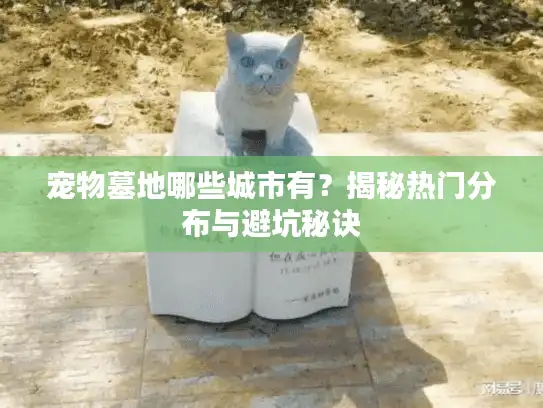 宠物墓地哪些城市有？揭秘热门分布与避坑秘诀