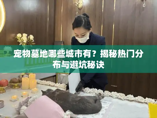 宠物墓地哪些城市有？揭秘热门分布与避坑秘诀
