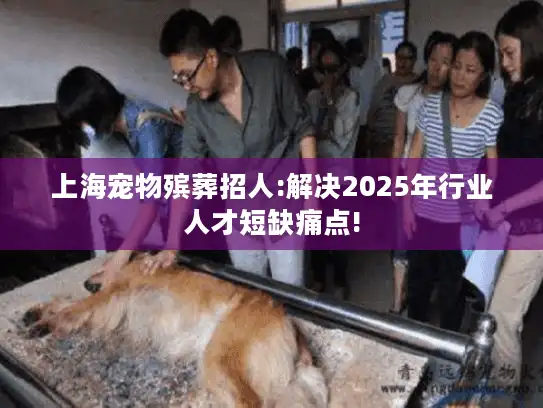 上海宠物殡葬招人:解决2025年行业人才短缺痛点!