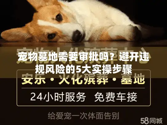 宠物墓地需要审批吗？避开违规风险的5大实操步骤