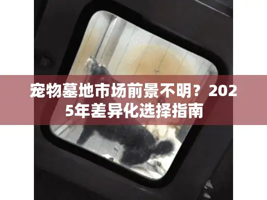 宠物墓地市场前景不明？2025年差异化选择指南