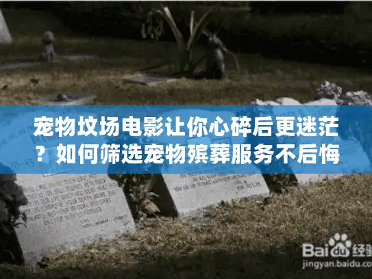 宠物坟场电影让你心碎后更迷茫？如何筛选宠物殡葬服务不后悔？