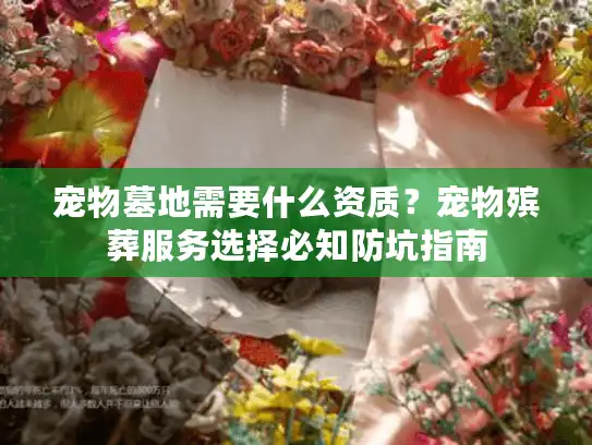 宠物墓地需要什么资质？宠物殡葬服务选择必知防坑指南