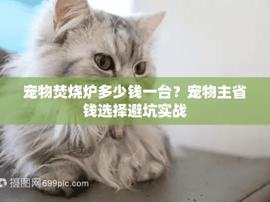宠物焚烧炉多少钱一台？宠物主省钱选择避坑实战