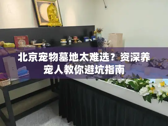 北京宠物墓地太难选？资深养宠人教你避坑指南