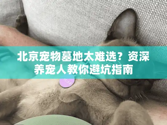 北京宠物墓地太难选？资深养宠人教你避坑指南