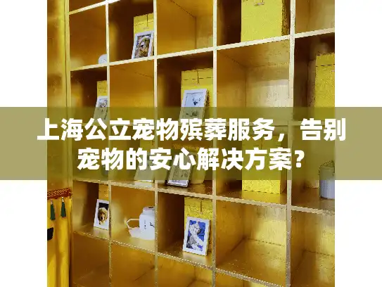上海公立宠物殡葬服务，告别宠物的安心解决方案？