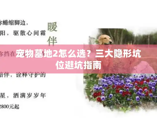 宠物墓地2怎么选？三大隐形坑位避坑指南