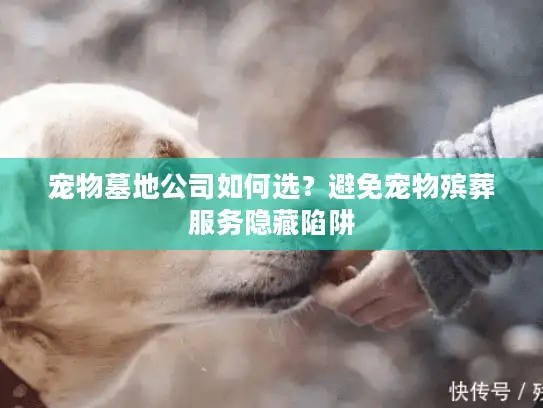 宠物墓地公司如何选？避免宠物殡葬服务隐藏陷阱