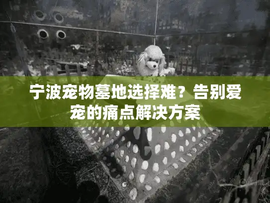 宁波宠物墓地选择难？告别爱宠的痛点解决方案
